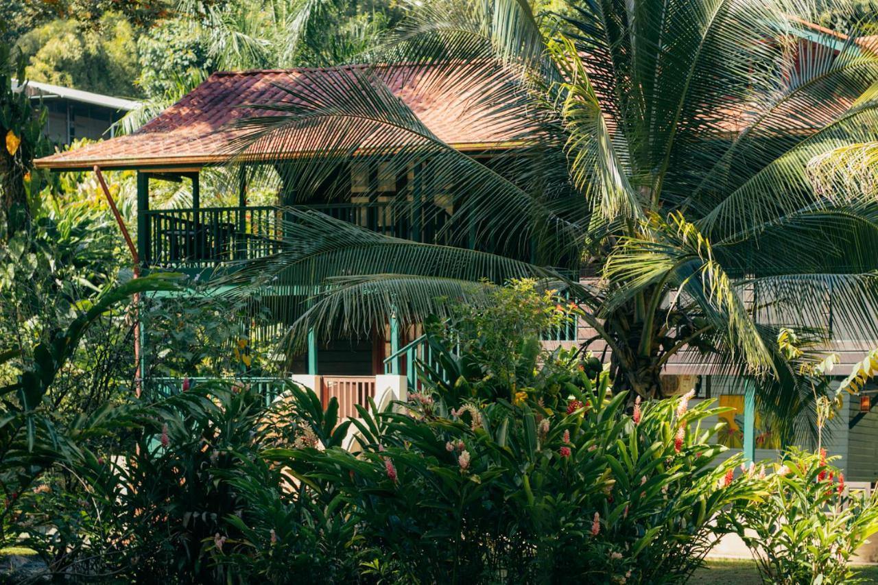 Big Creek Casa De Mono Bocas B&B 외부 사진
