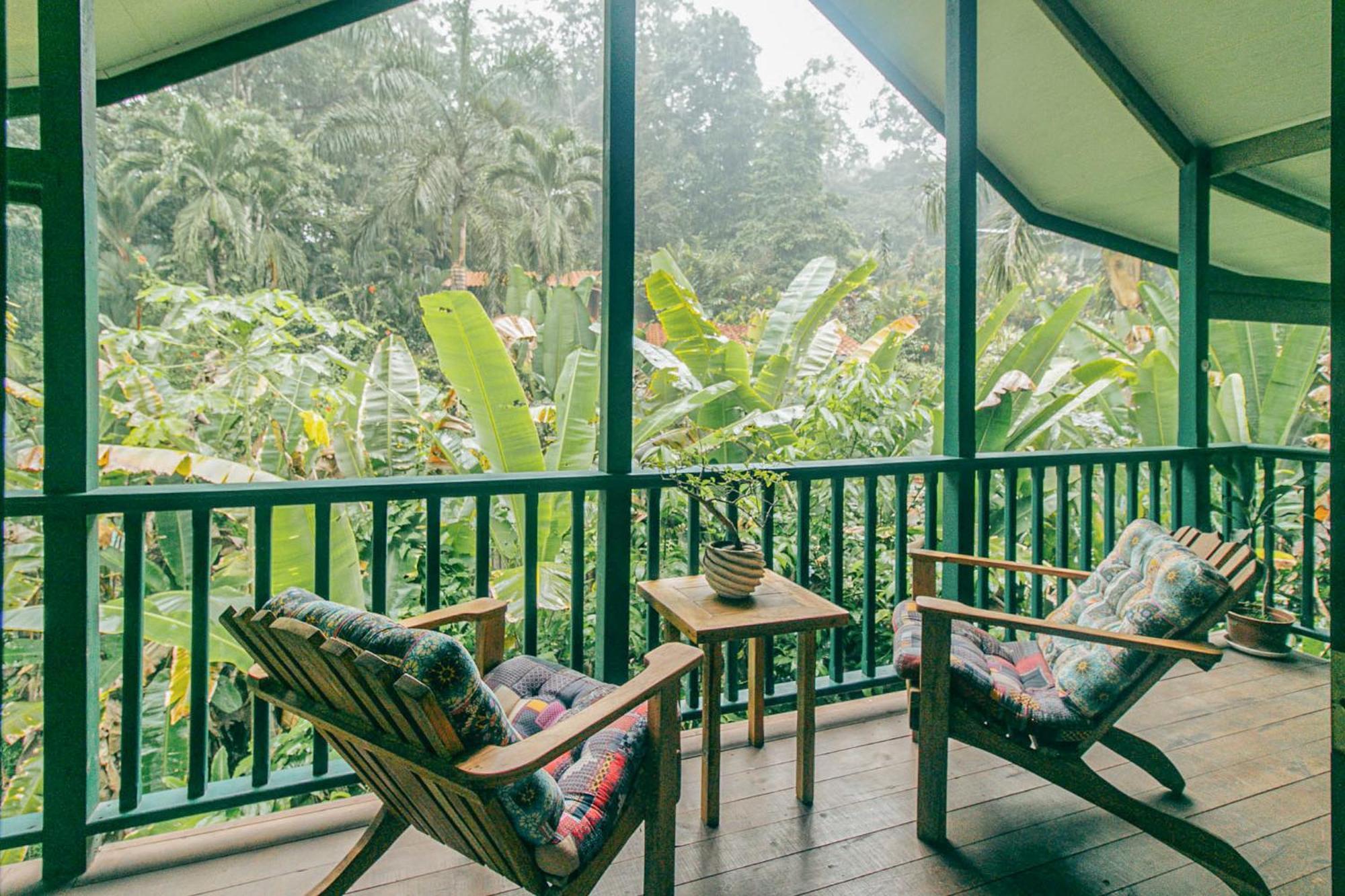 Big Creek Casa De Mono Bocas B&B 외부 사진