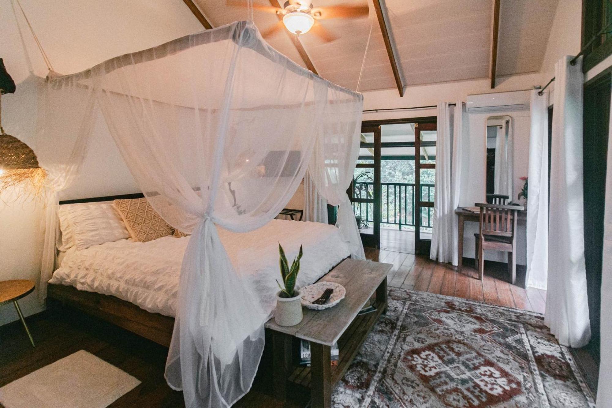 Big Creek Casa De Mono Bocas B&B 객실 사진