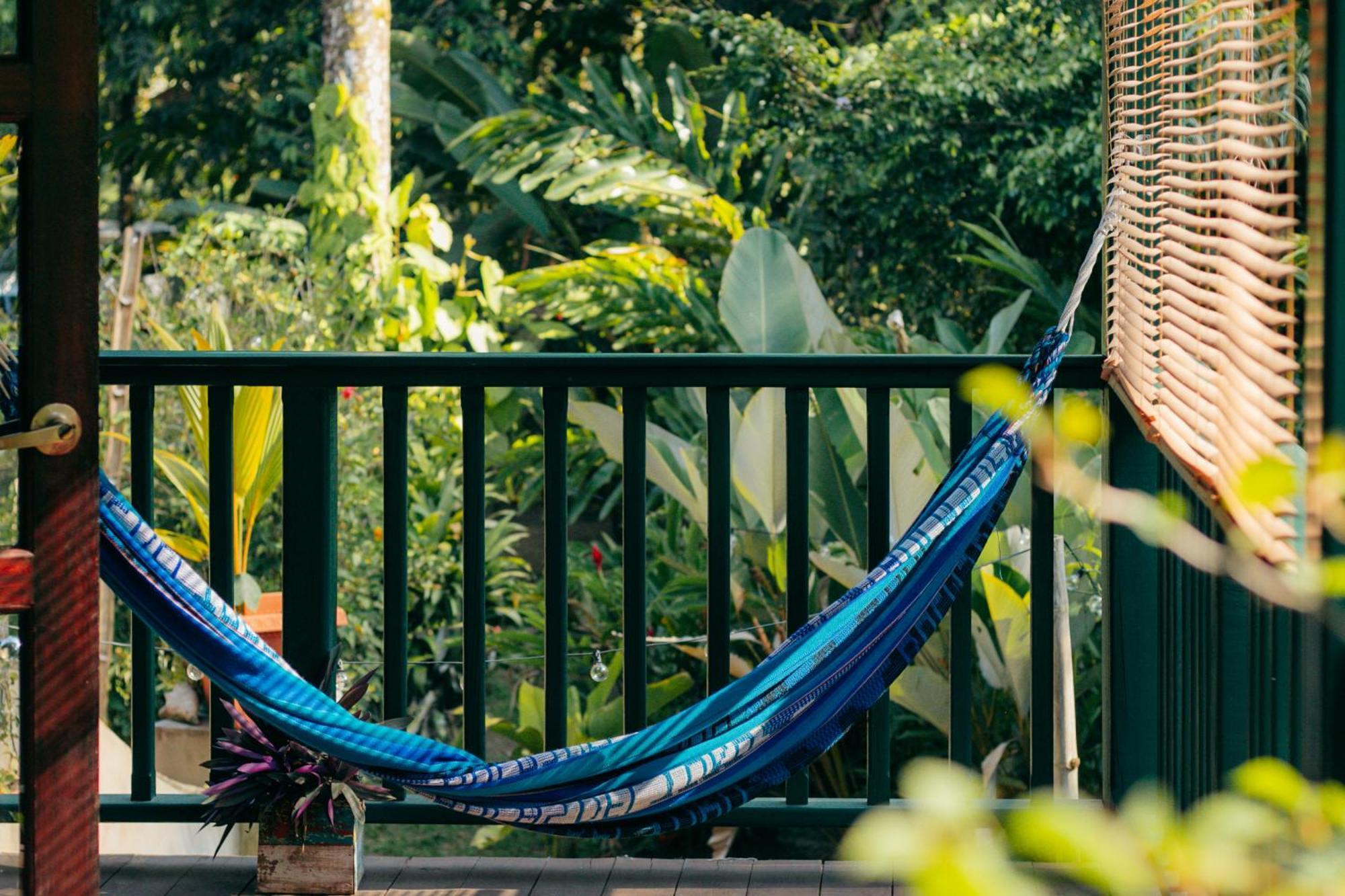Big Creek Casa De Mono Bocas B&B 외부 사진