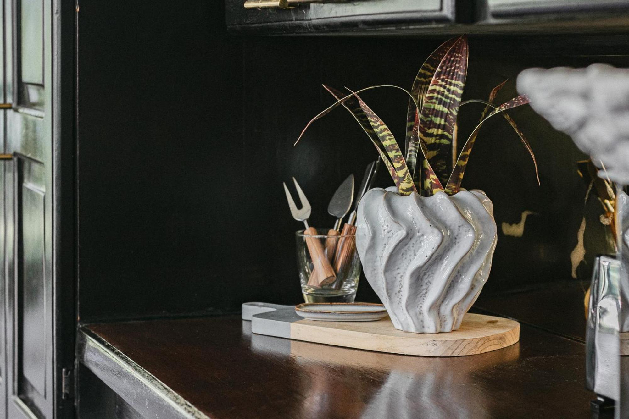 Big Creek Casa De Mono Bocas B&B 외부 사진