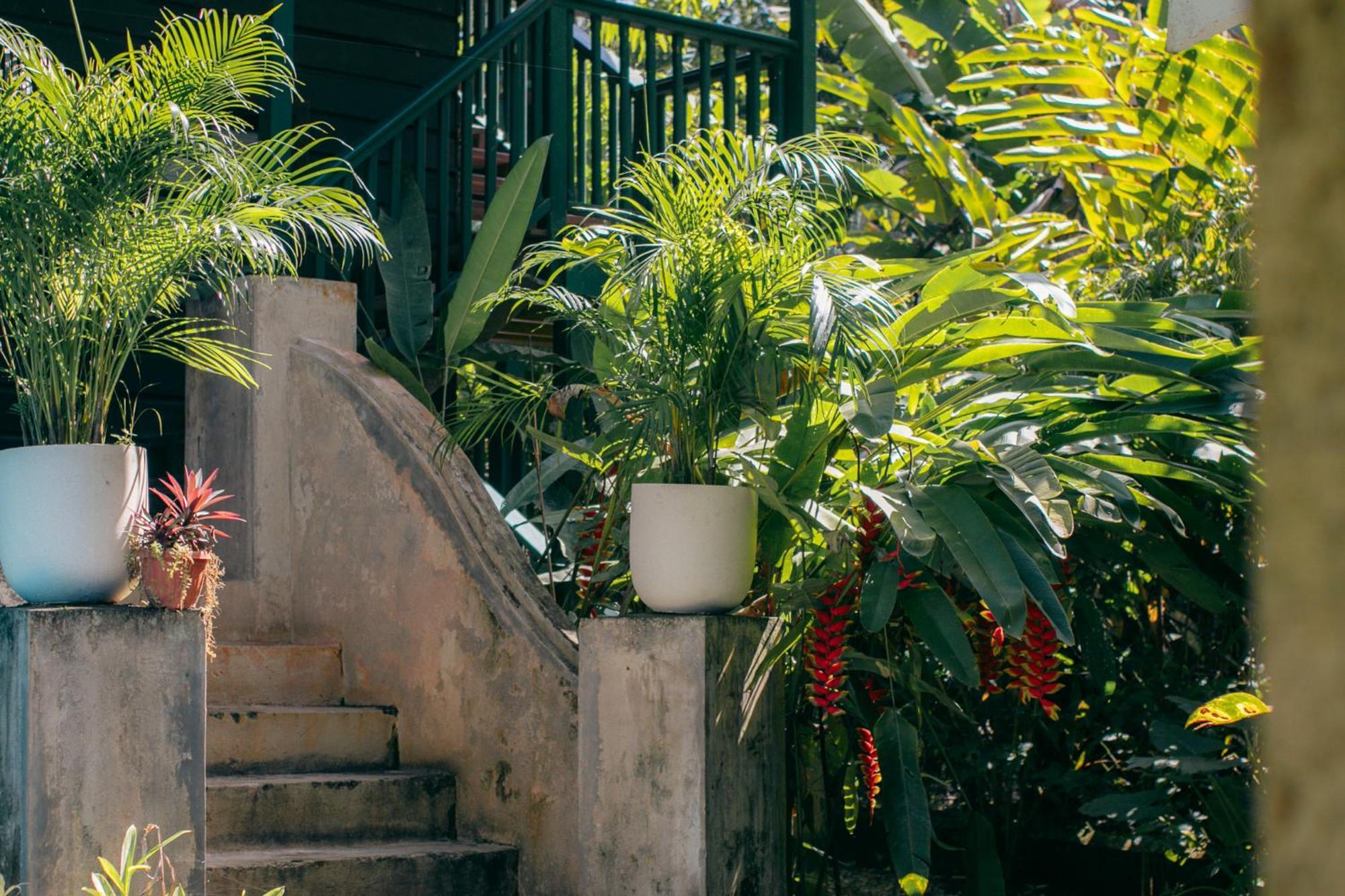 Big Creek Casa De Mono Bocas B&B 외부 사진