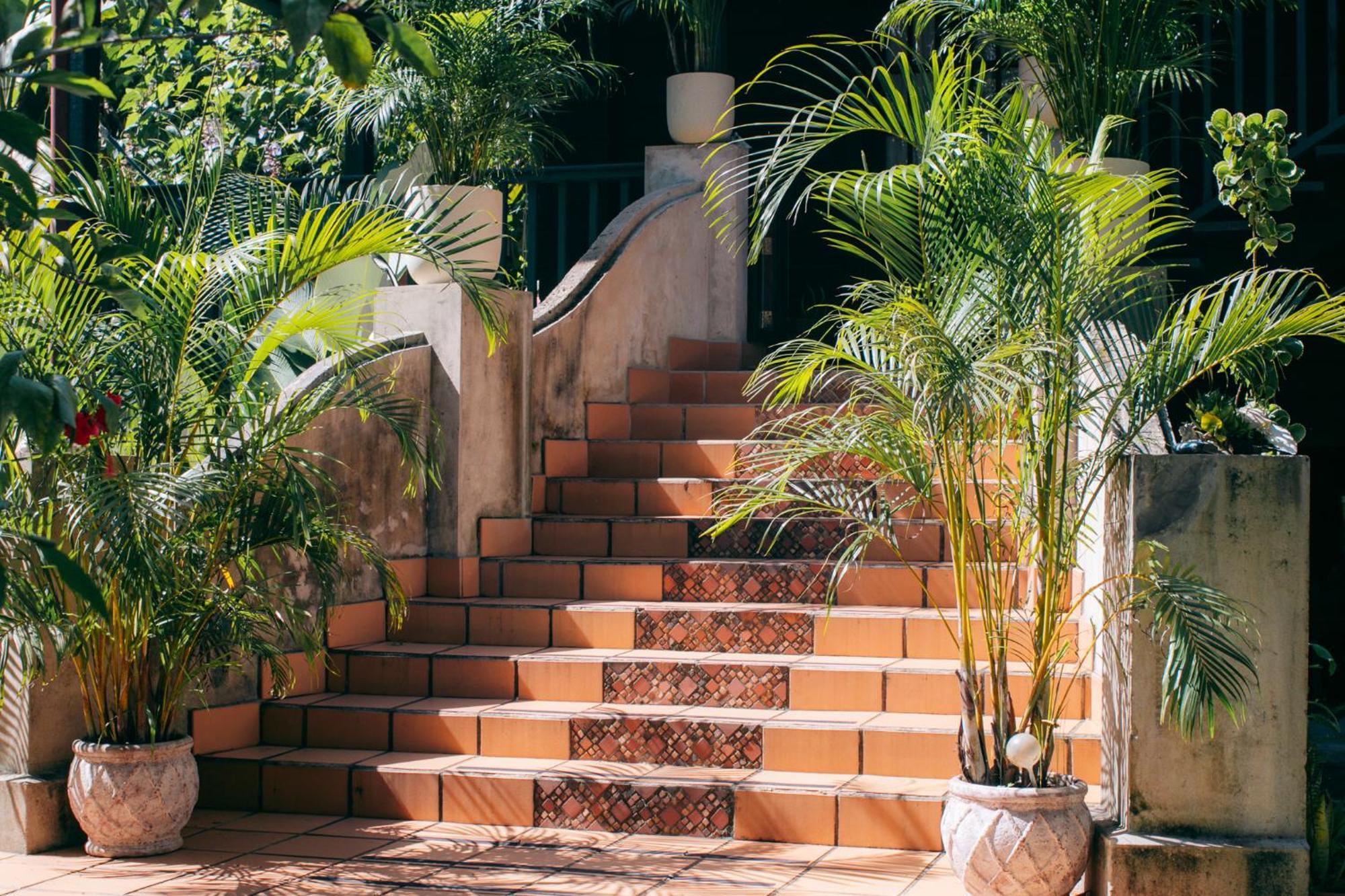 Big Creek Casa De Mono Bocas B&B 외부 사진