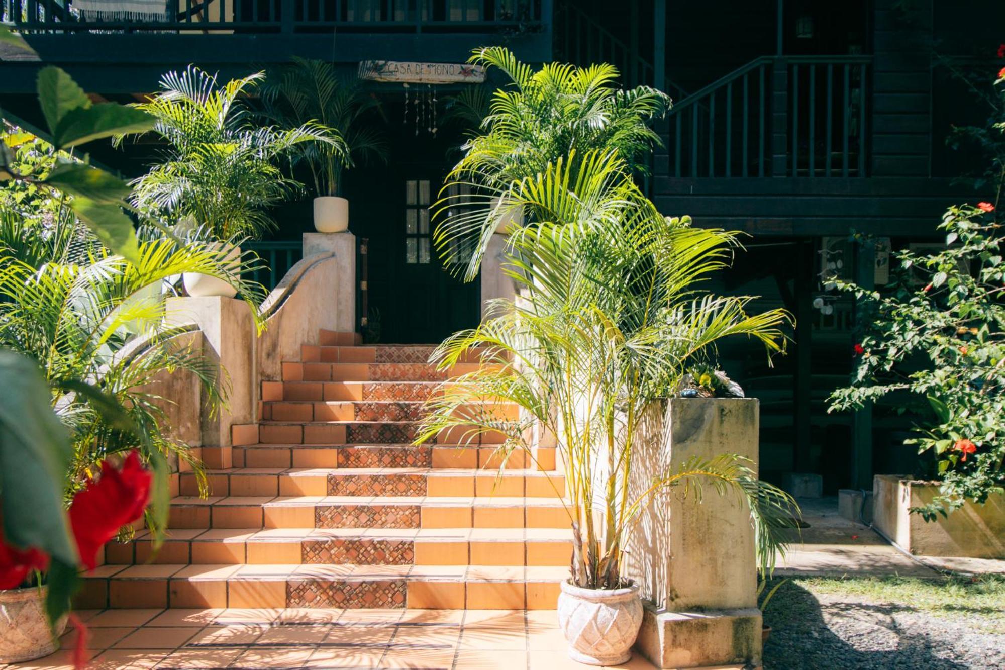 Big Creek Casa De Mono Bocas B&B 외부 사진