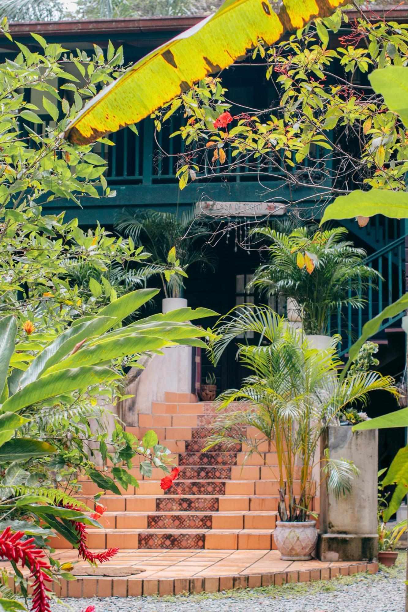 Big Creek Casa De Mono Bocas B&B 외부 사진